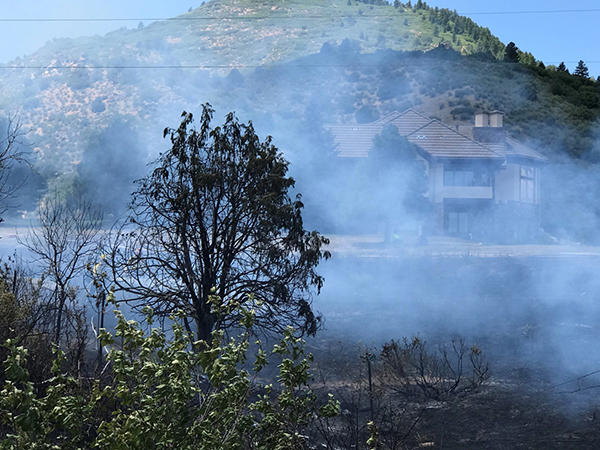 Picture of Twin Elk Fire