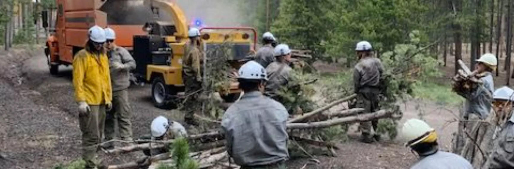 Wood Chipping Program