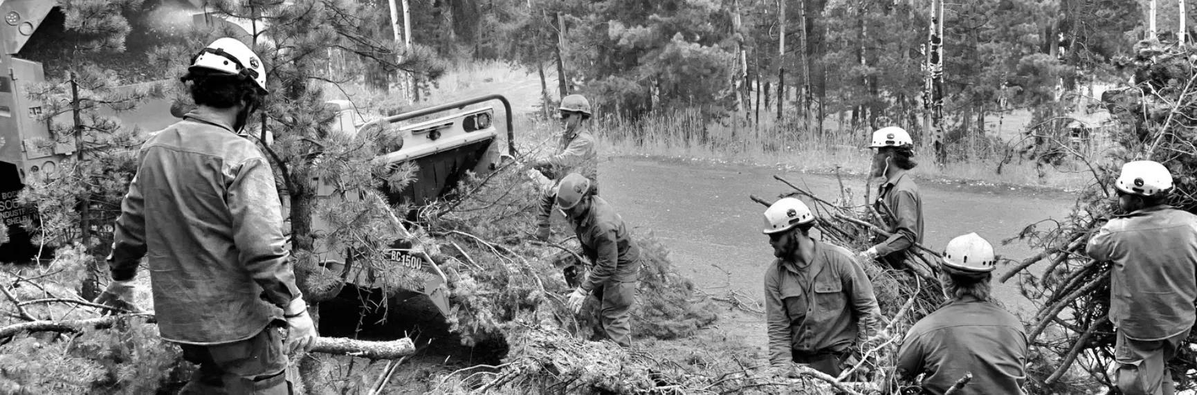 Wood Chipping Program
