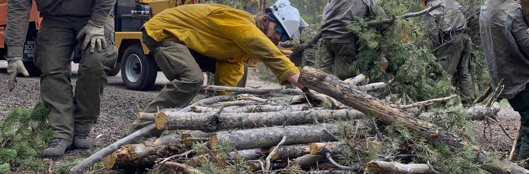Wood Chipping Program