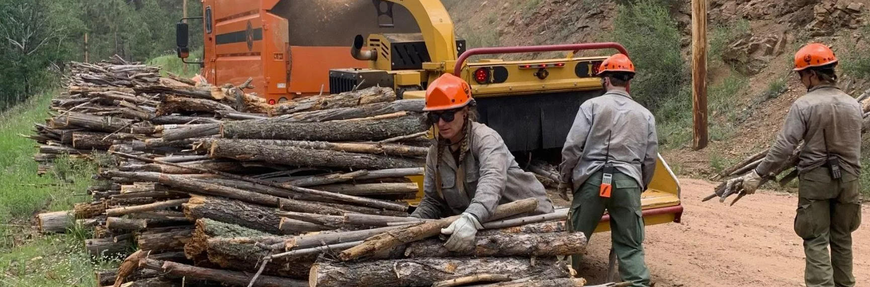 Wood Chipping Program