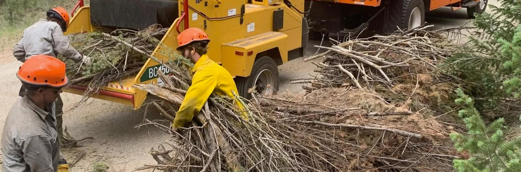 Wood Chipping Program